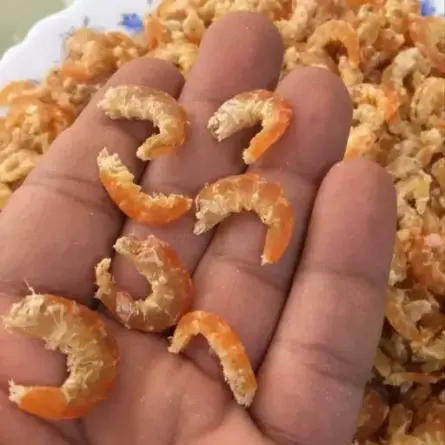 Mini Dried Shrimp Bulk Price